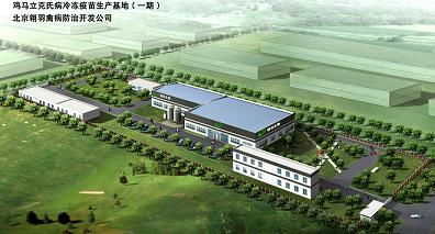 北京翎羽禽病防治技術(shù)開發(fā)與服務(wù)體系