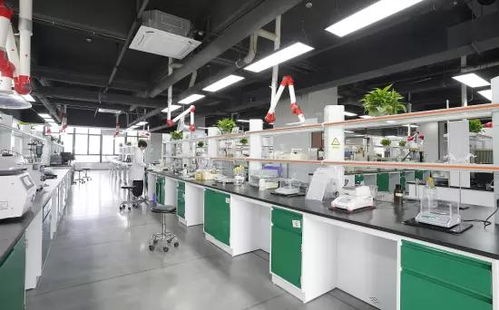 技術驅動，全球布局 一家潤滑油企業的出海新篇章